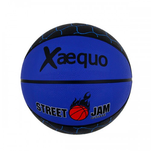  BASKET BALL D 23.5CM 