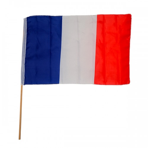  DRAPEAU 35 X 45  FRANCE