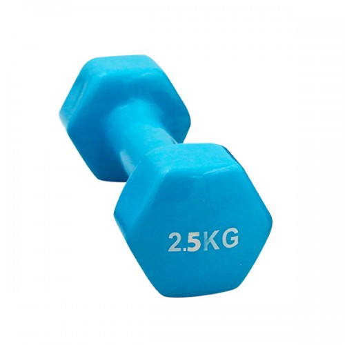 HALTERE 2, 5KGS