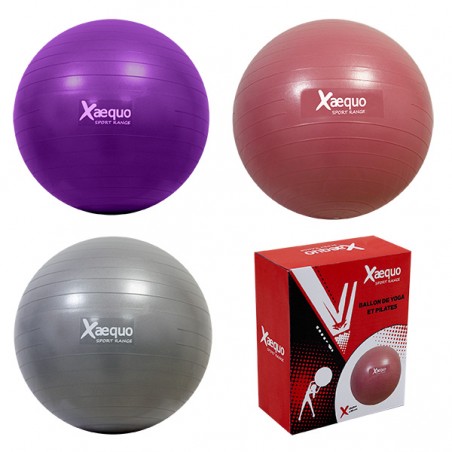 BALLON DE YOGA/PILATES D56CM